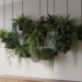 découvrez comment créer une décoration murale originale et naturelle en utilisant des plantes. astuces et idées faciles pour sublimer vos murs avec verdure et style.