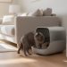 découvrez comment choisir la meilleure litière pour chat sans odeur afin d'assurer un environnement propre et agréable pour vous et votre compagnon félin.
